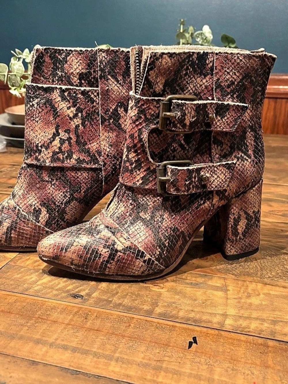 Free Bird By Steven  Leather Snake Print Heeled Boots US 7